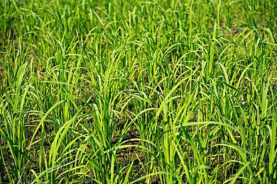 V社可能在开发新的VR头显